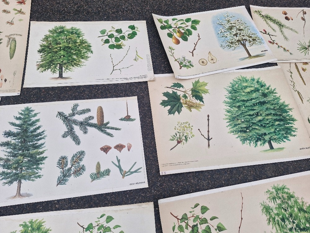 Stare skolni plakaty 50/60 leta - 5