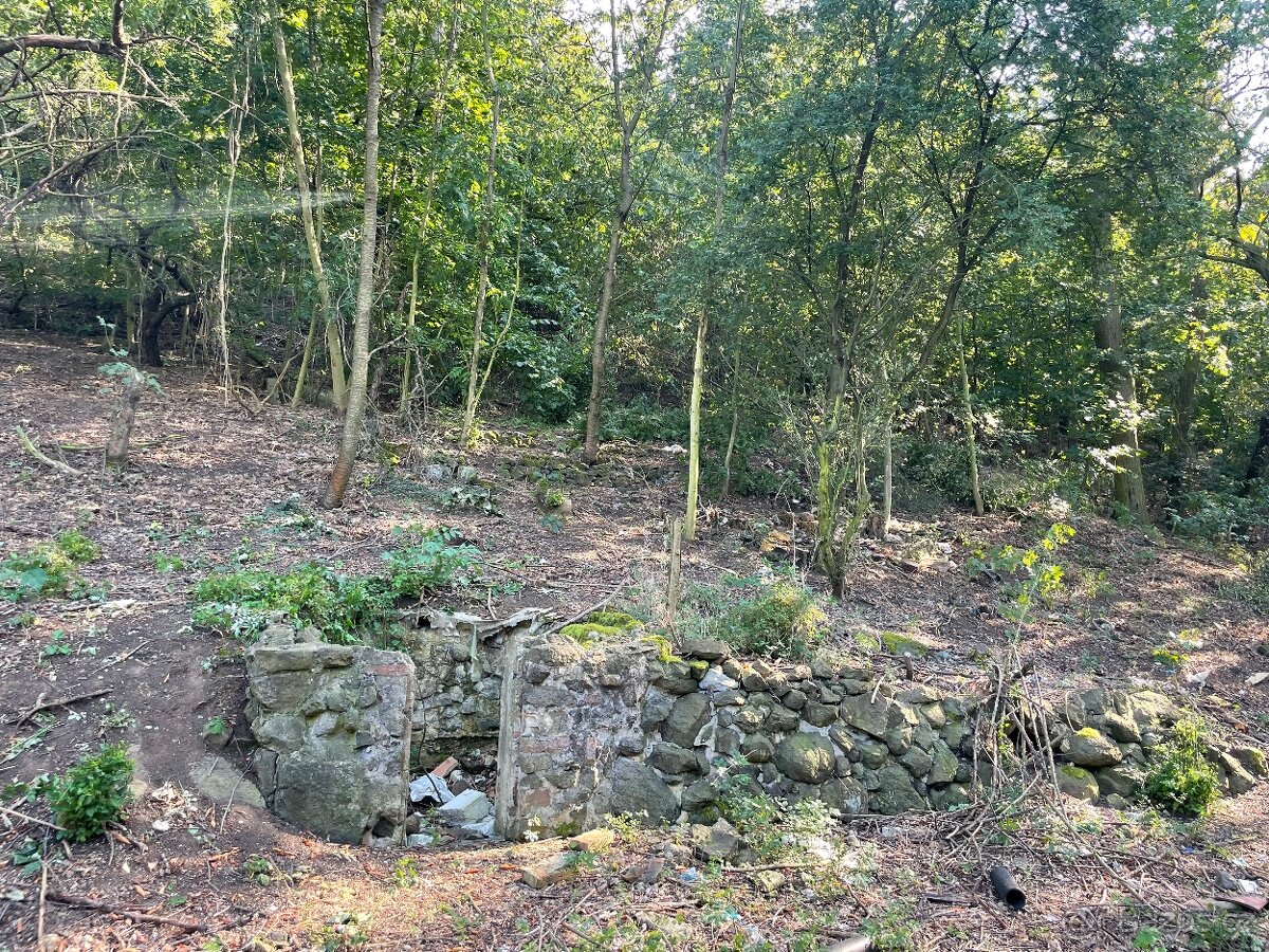 Pozemek zahrada 1100m2 - 5