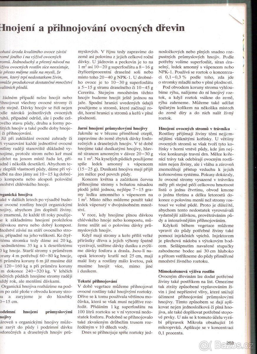 Kniha ZIMA V ZAHRADĚ - 5