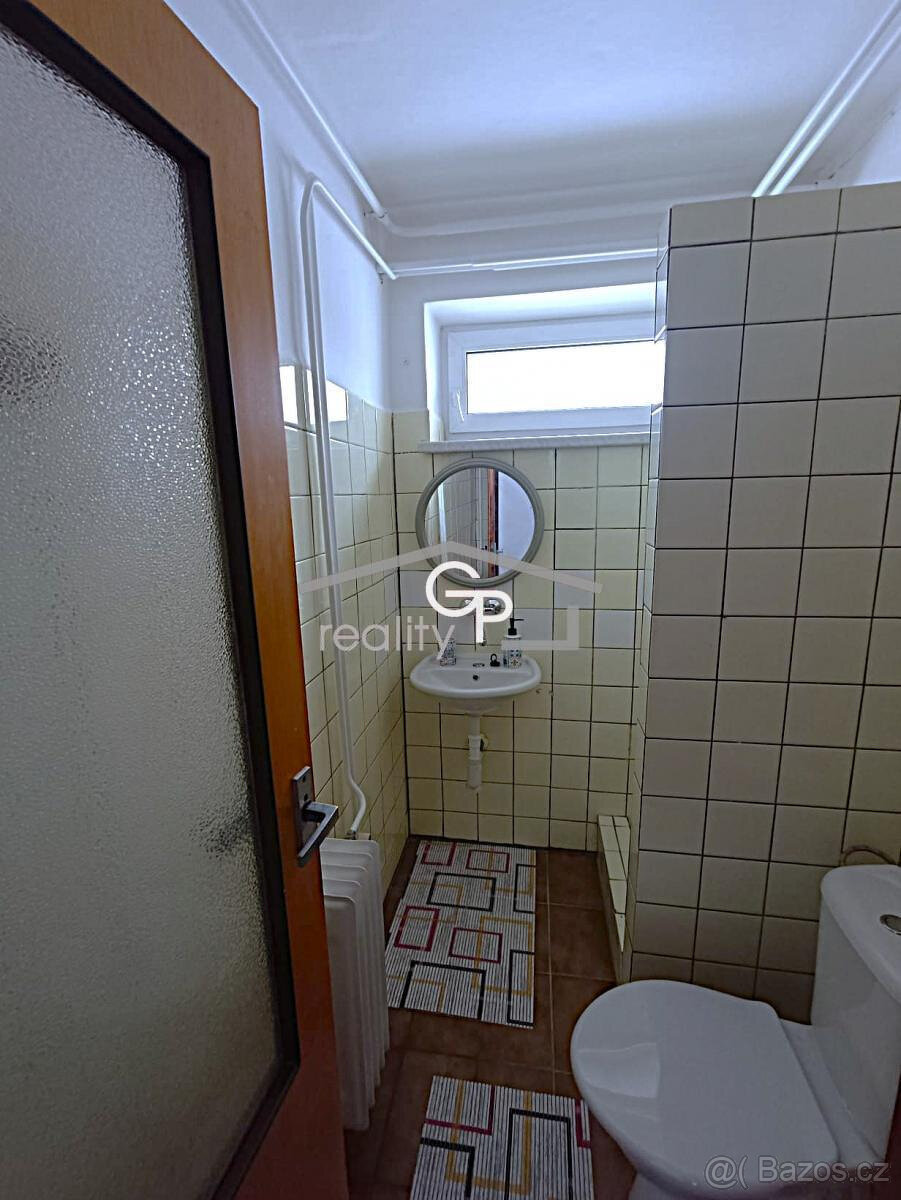 Pronájem 1+1 v obci Vidov - 5