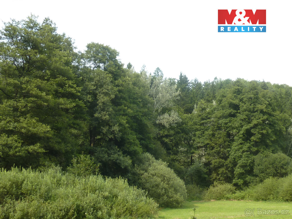 Prodej lesa, 26000 m², Vysoká Srbská, okres Náchod - 5