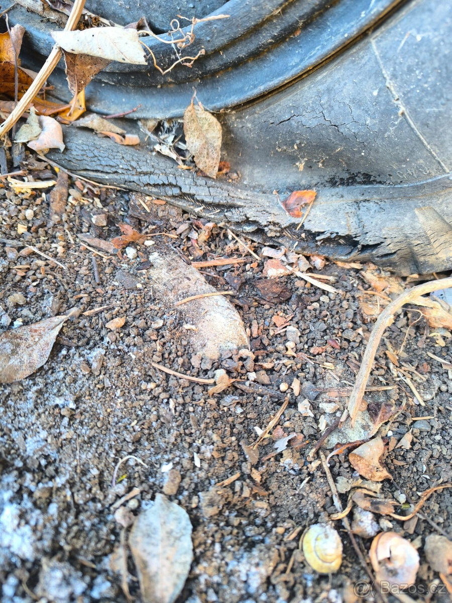 Prodám maringotku - 5