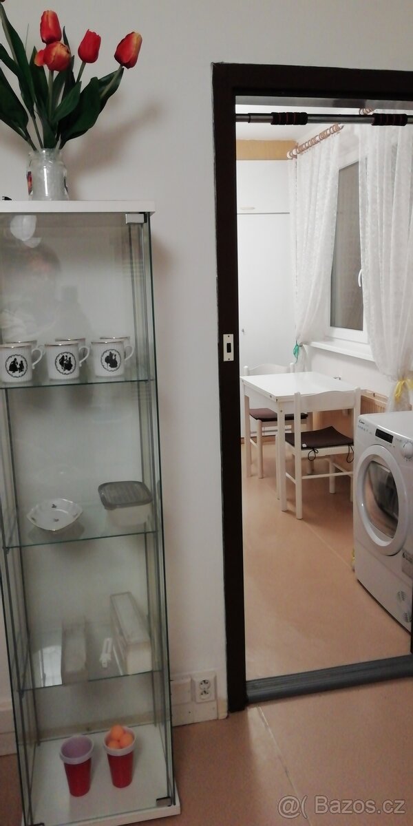 Pronájem částečně zařízeného bytu 3+1, Nové Sady, Olomouc - 5