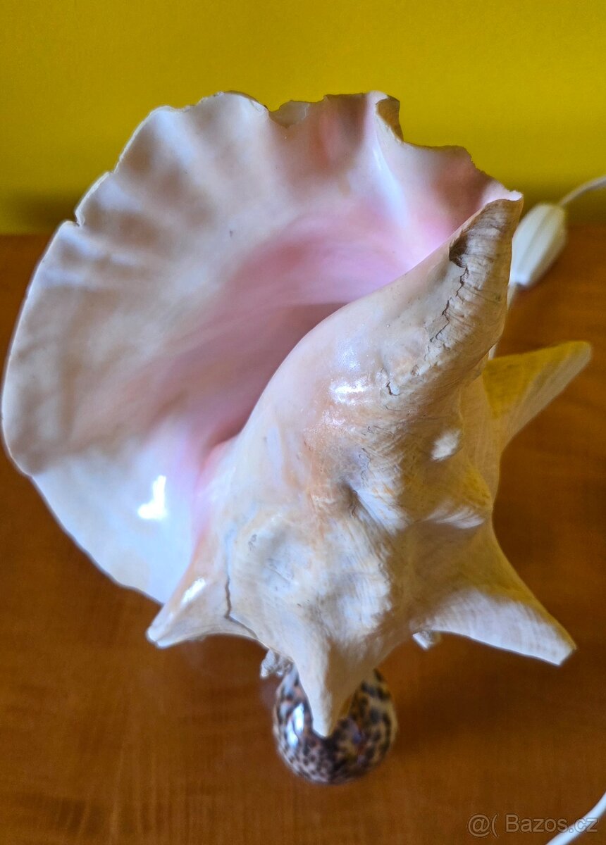 Lampa Mušle - 5