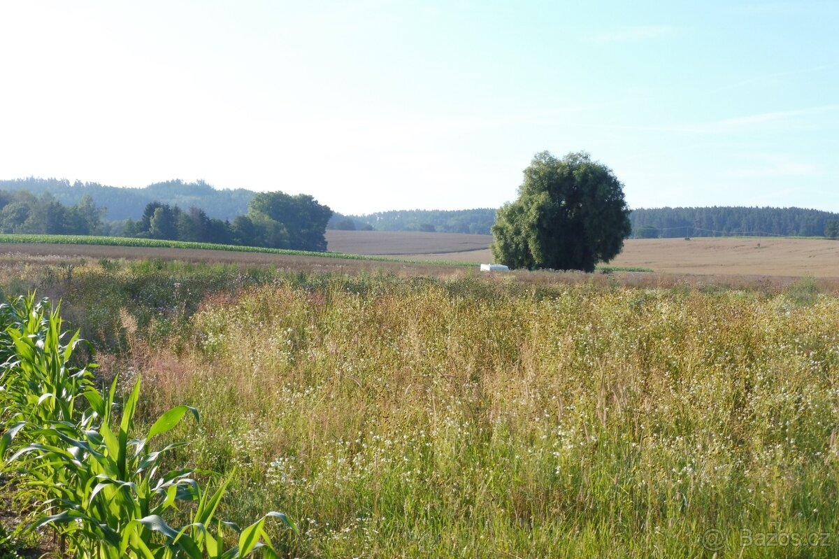 Pozemky v obci Blatná - 5