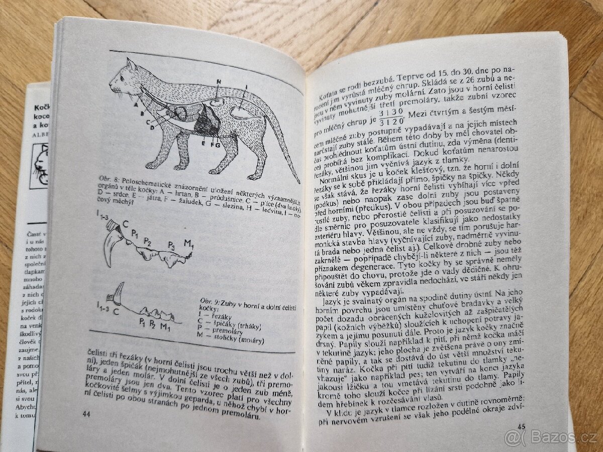 Kniha Kočky, kocouři a koťata - 5