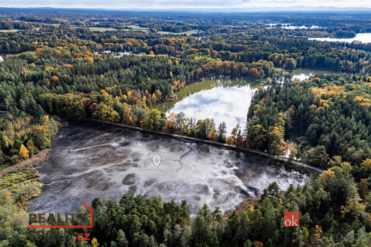 Prodej, pozemky/rybník, 64790 m2, Žíteč, Chlum u Třeboně, Ji - 5