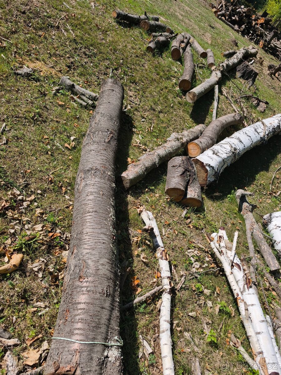 Prodám převážně Tvrdé listnaté dřevo - 5