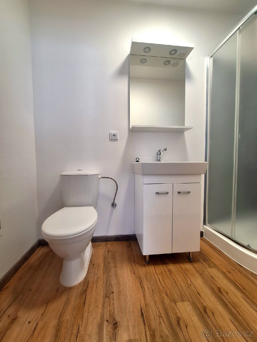 Pronájem bytu 1+kk Nová Ves II - 5