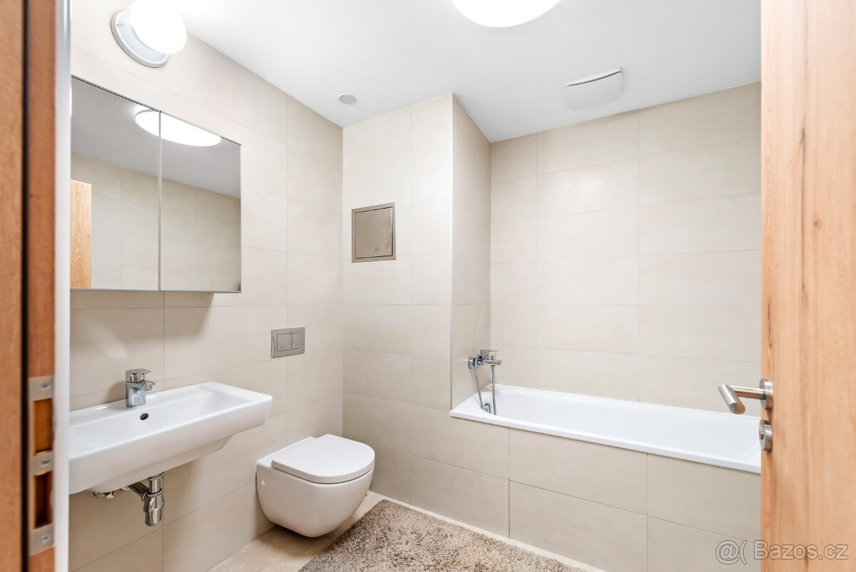 2+kk Praha 3 + parking - 5