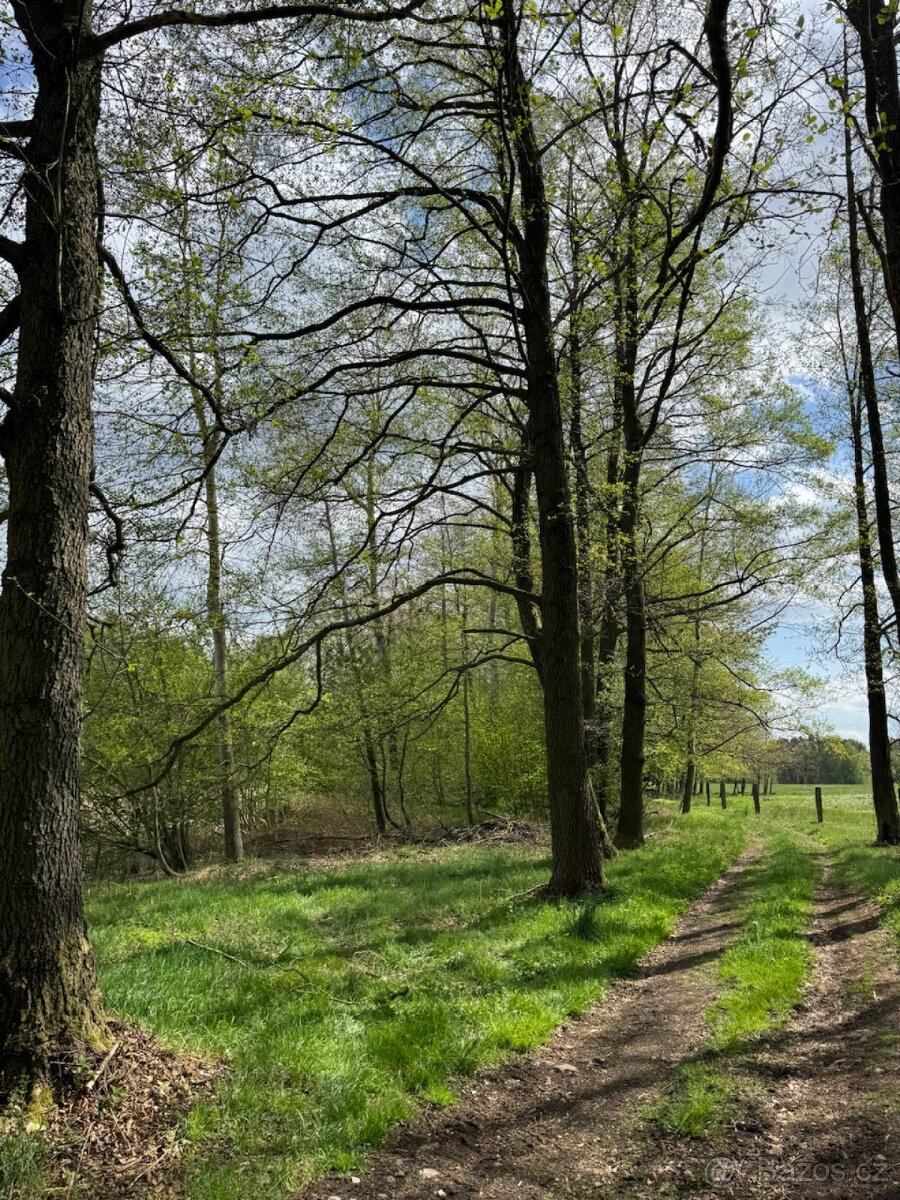 Prodám pozemky v katastrálním území Mníšek - 5