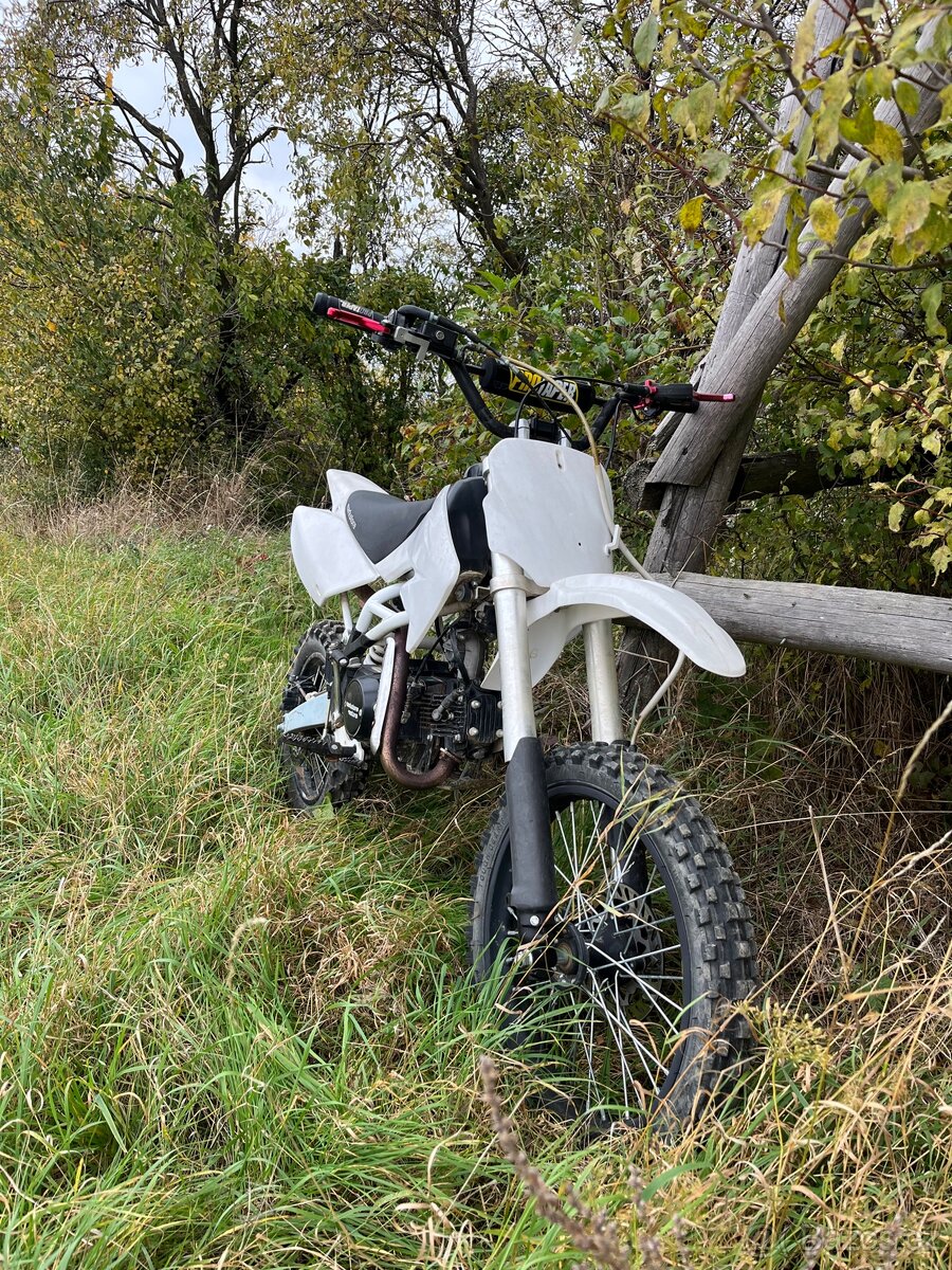 pitbike 125 Thunder - 5