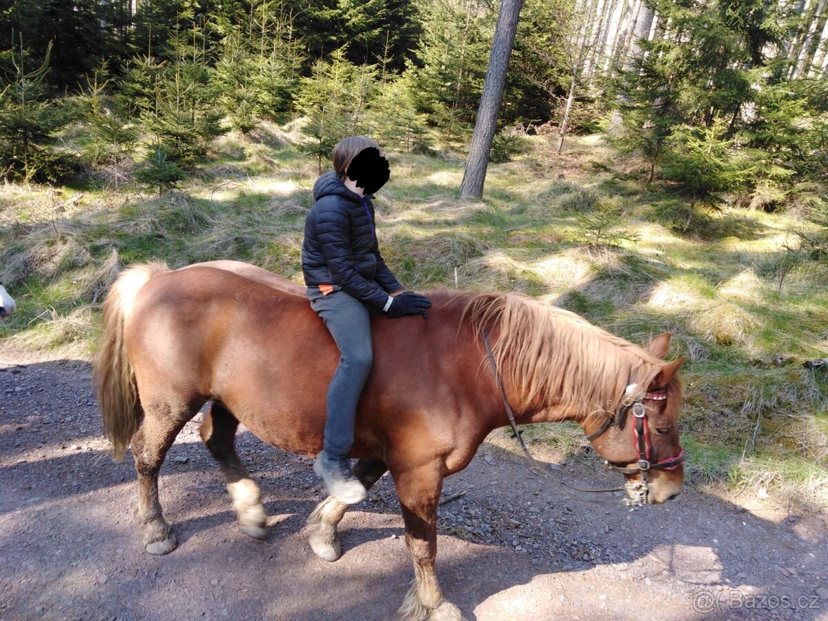 Valach pro začátečníky - 5