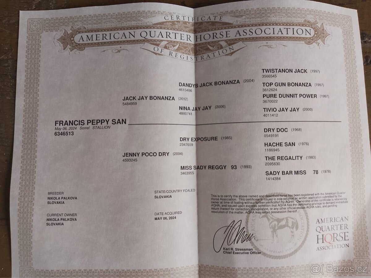 QH hřebeček - ranch linie - 5