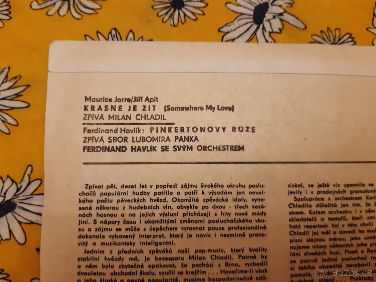 SP deska ružné druhy výběr dle foto 4 - 5