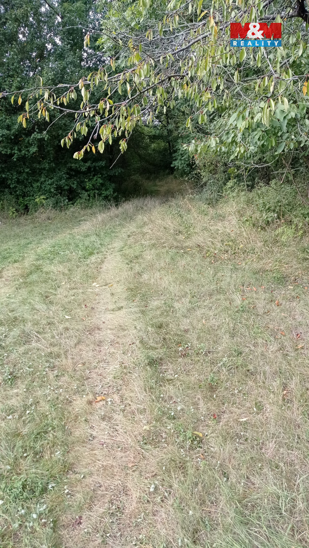 Prodej louky, 16692 m², Jenčice - 5