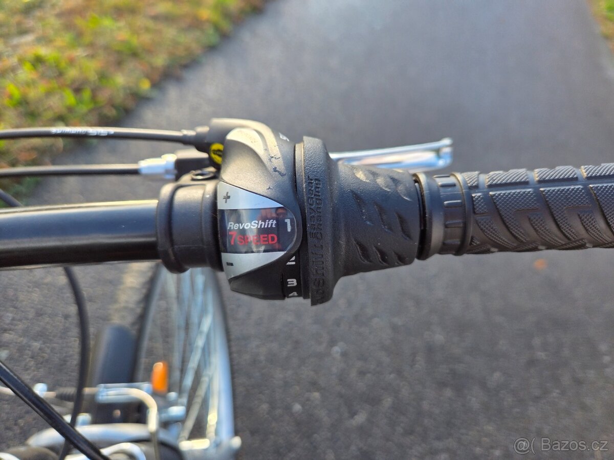 Leader Fox Toscana Lady 19" - 5