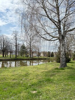 Stavební pozemek, 1241m² klidu a prostoru - 5