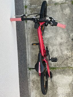 Scott Contessa 20 - 5