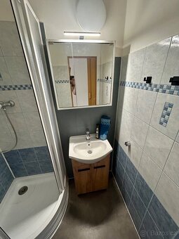 Pronájem 1+1 46m2, balkon/sklep Strakonice - 5