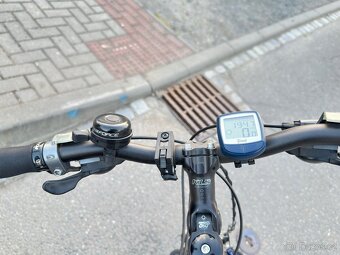 KELLY’S PHANATIC 21” - 5