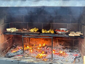 Ustájení a výcvik koní - 5