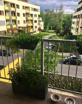 Pronájem bytu 1+1/T 50m², ul. Práčská, Praha 10 - Záběhlice, - 5