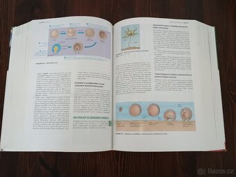 Biologie- Campbell, Reece 2008 Cpress - 5