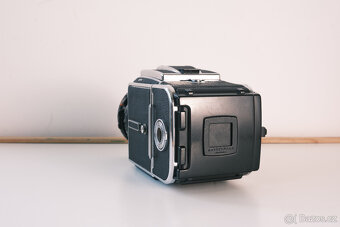 Hasselblad 501 C/M, 80mm CFE, A12 - 5