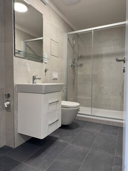 Nabízím ke pronájem neprůchozí pokoj. - 5