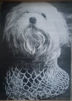 Plakáty - retro - různé - 1 ks/100,- - 5