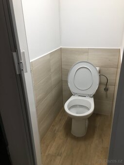 Pronajmu byt 1kk v Aši - 5