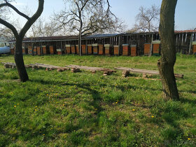 Prodej medoviny a medu - 5