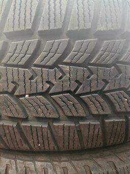 205/55R17 95V XL Eskimo HP 2 SAVA - 5