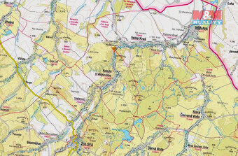 Prodej lesa, 446 m², Kobylá nad Vidnavkou - 5