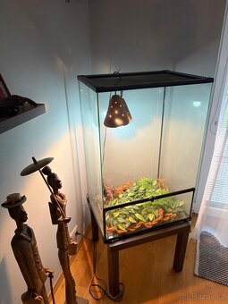 Terárium 60x45x90cm - 5