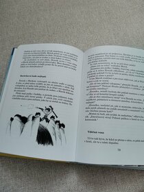 Kluci jedna radost - Miroslav Stoniš - 5
