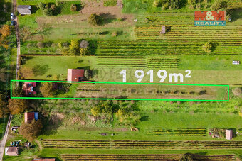 Prodej vinného sklepu, 55 m², Josefov - 5