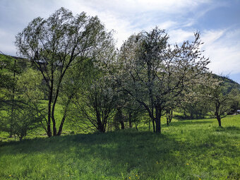 Prodám zahradu 2000m² - Frýdštejn - Sestroňovice - 5