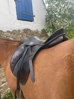 Passier GG Hannover - 5