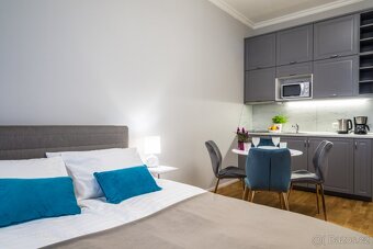 Pronájem bytu 1+kk, 37 m²-Karlovo náměstí, Praha - od - 5