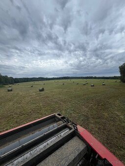 Lis na kulaté balíky - 5