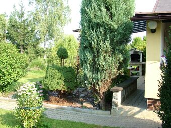 Prodám velkou zahradu v zahrádkářské kolonii - 5