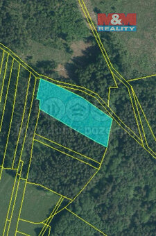 Prodej lesa, 7067 m², Doňov - 5