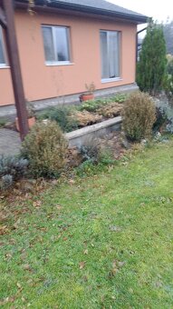 Nabízím práci údržbu na zahradě - 5