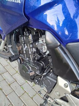 Honda cbf 600 2003 - 5