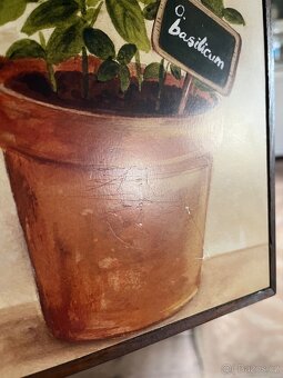 Obrázek na zeď bylinky - bazalka - 5