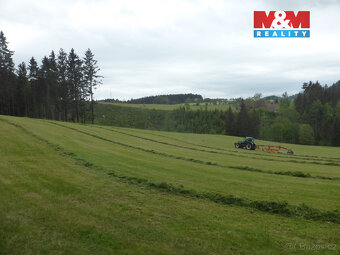 Prodej lesa, 26000 m², Vysoká Srbská, okres Náchod - 5