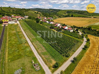 Pozemek pro vinný sklep s ubytováním a  s vinicí,  B, 132041 - 5