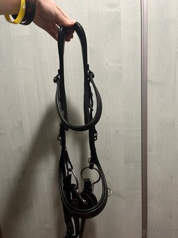 PresTeq Faysport uzdecka PONY - 5